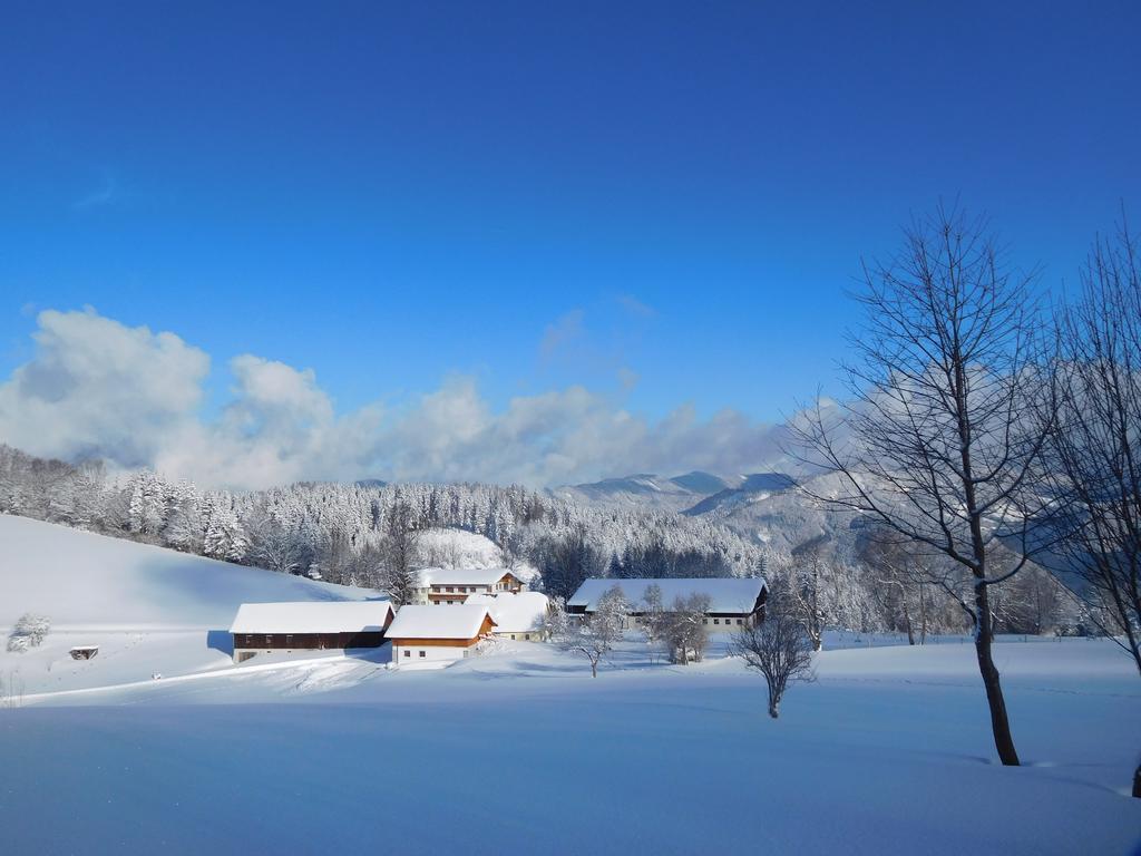 Urlaub Am Bauernhof Blamauer Koehr Gostling an der Ybbs Bagian luar foto