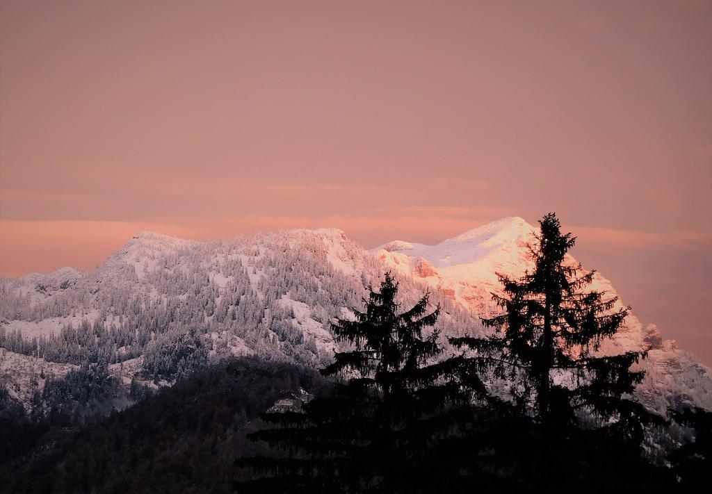 Urlaub Am Bauernhof Blamauer Koehr Gostling an der Ybbs Bagian luar foto